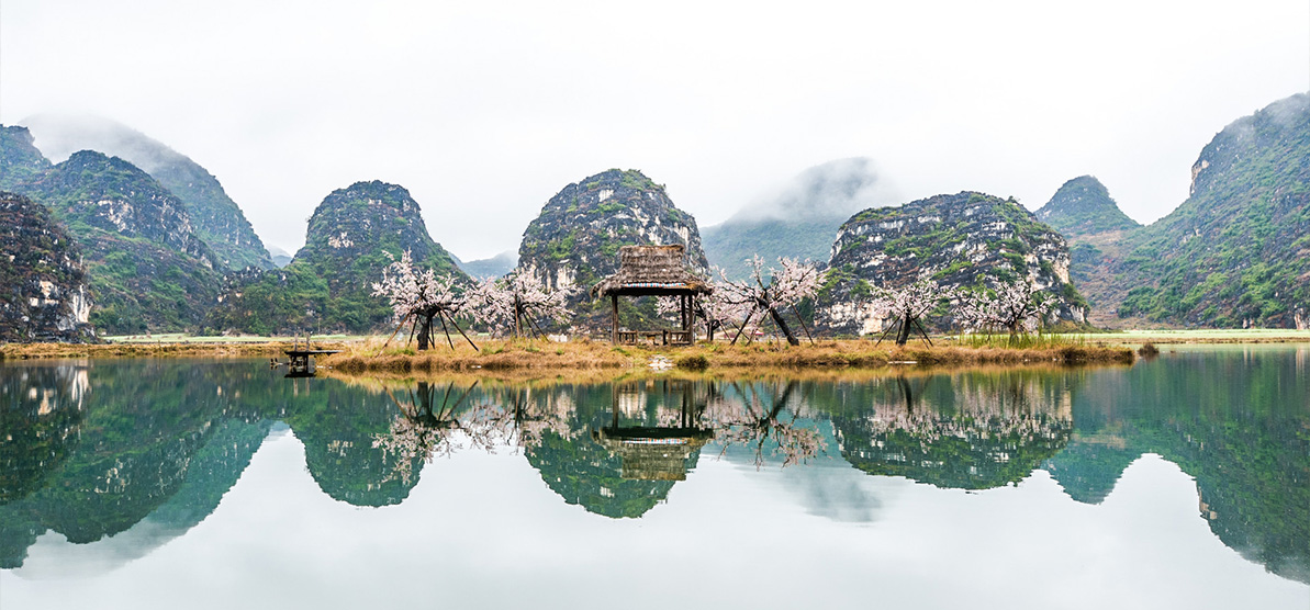 人工湿地,湿地建设