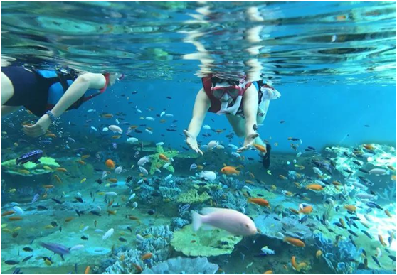 水族馆,海洋馆