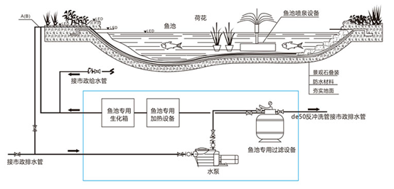 鱼池净水过滤系统,室外鱼池过滤系统