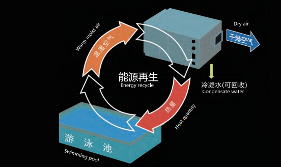 别墅室内泳池除湿,别墅游泳池除湿机